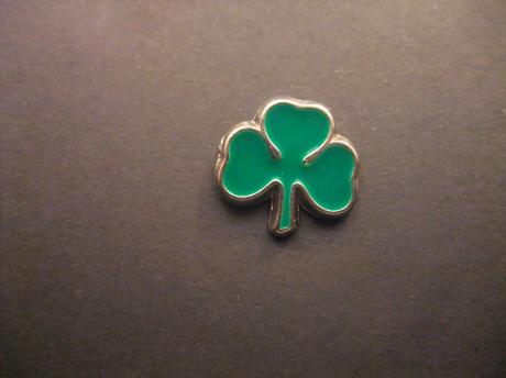 Shamrock ( klaver drie ) Iers nationaal symbool